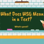 What Does WSG Mean in a Text