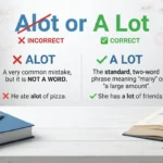 Alot or A Lot