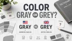 Color Gray or Grey